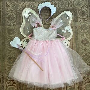 Tooth fairy costume size 5